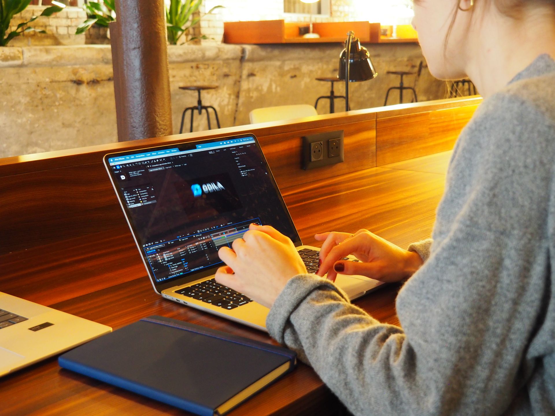 Working on a website with the ODILA screen